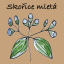Skořice mletá