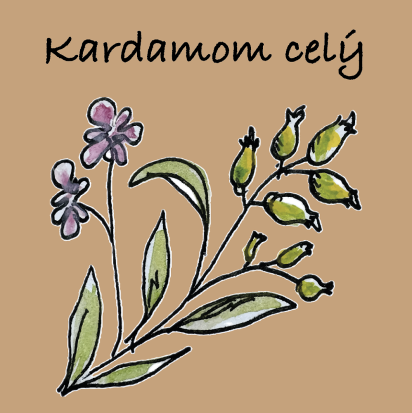 Kardamom mletý