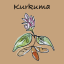 Kurkuma