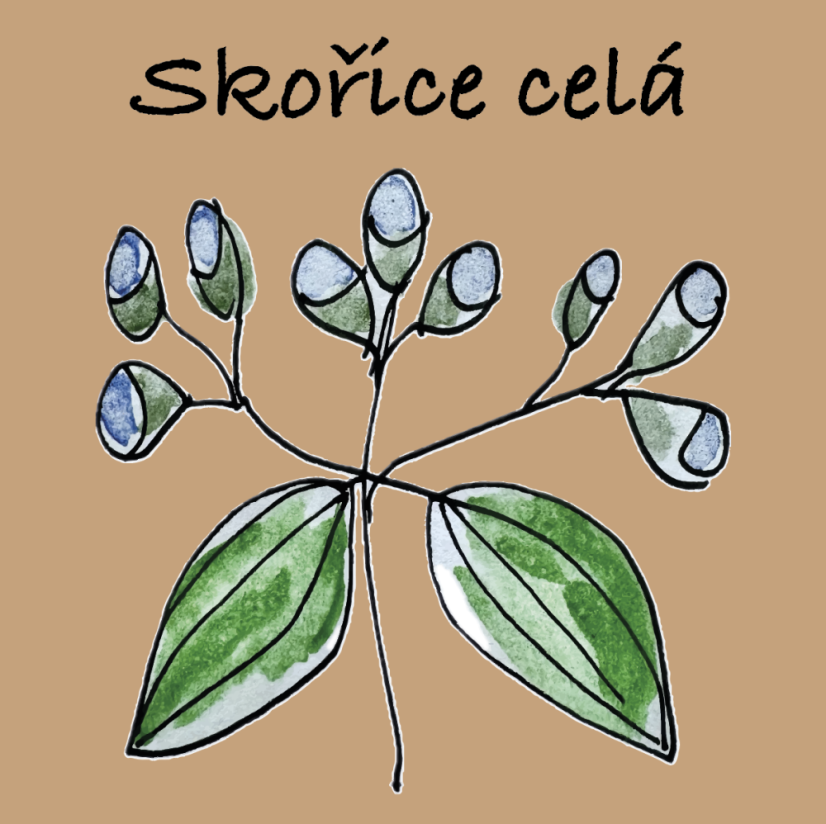 Skořice celá