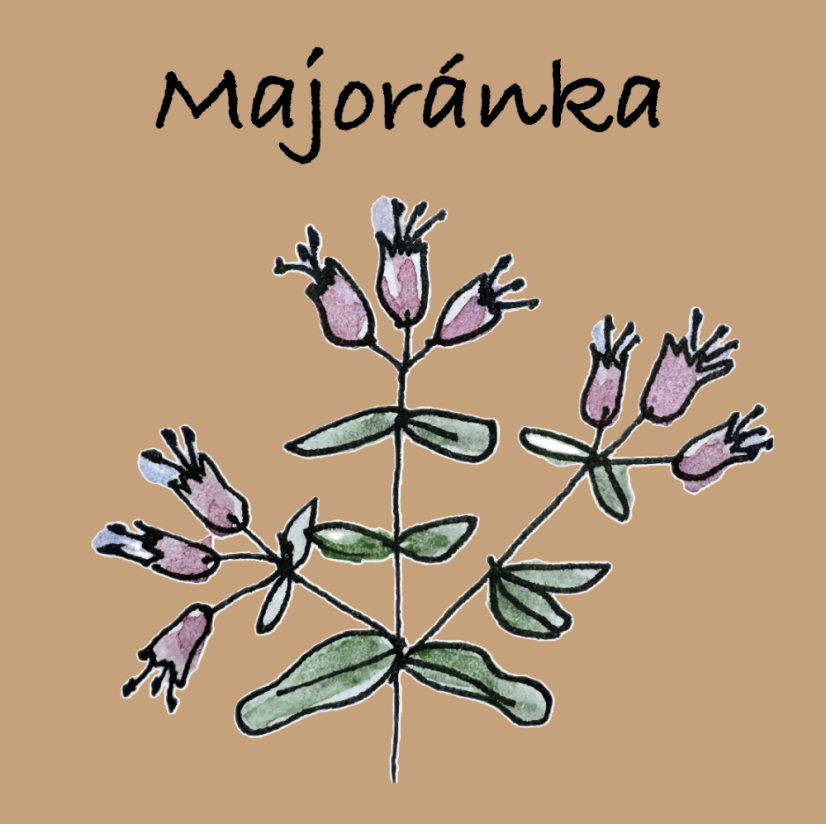 Majoránka